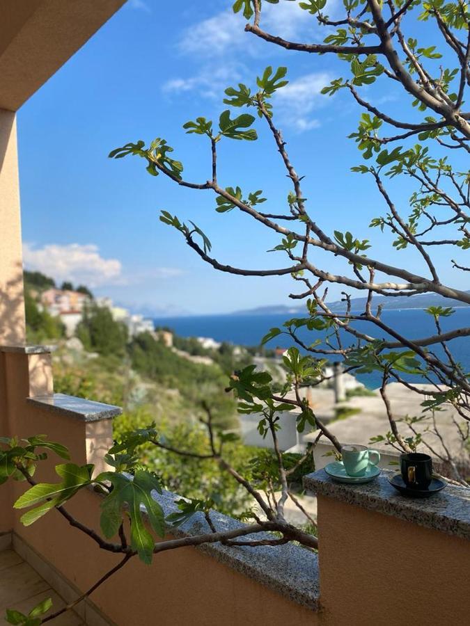Panorama Apartment Jakov 奥米什 外观 照片